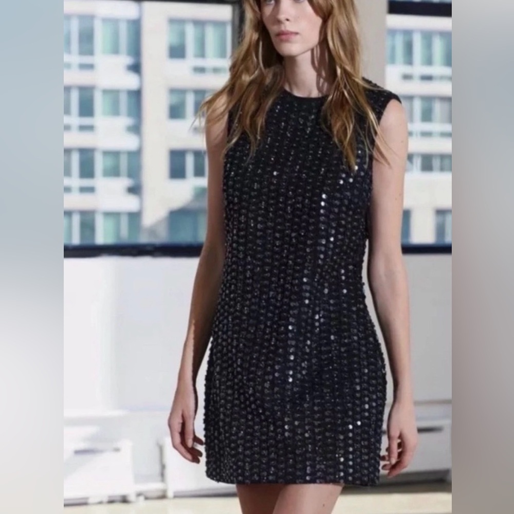 ZARA ZW collection mini dress